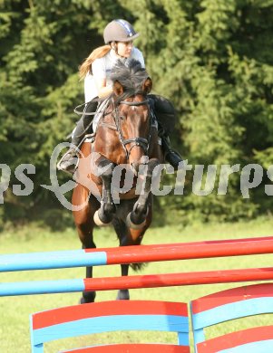 Reiten. Reitturnier Ehrenhausen. Skorianz-Jenull Andrea auf Bonte Balu. Union Reitverein Klagenfurt. Klagenfurt, am 22.9.2006.
---
pressefotos, pressefotografie, kuess, qs, qspictures, sport, bild, bilder, bilddatenbank