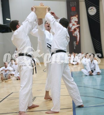 Tae Kwon Do. Jahresabschlusstraining unter der Leitung von Grossmeister Son Jong Ho. Klagenfurt, am 30.12.2006.
Foto: qspictures/Kuess
---
pressefotos, pressefotografie, kuess, qs, qspictures, sport, bild, bilder, bilddatenbank