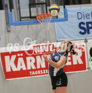 Volleyball Bundesliga Semifinale. Wildcats gegen Linz. Maja Kaczmarek. Klagenfurt, am 8.4.2005.
---
pressefotos, pressefotografie, kuess, qs, qspictures, sport, bild, bilder, bilddatenbank