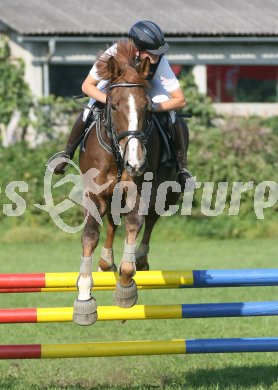 Reiten. Reitturnier Ehrenhausen. Philipp Hattenberger auf Market Mate. Reitverein Teurnia. Klagenfurt, am 22.9.2006.
---
pressefotos, pressefotografie, kuess, qs, qspictures, sport, bild, bilder, bilddatenbank