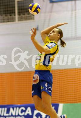 Volleyball Challenge Cup. SK Posojilnica Aich/Dob gegen Generali Haching. Robin Pelucha (Aich/Dob). Prevalje, am 27.10.2007.
Foto: Kuess
---
pressefotos, pressefotografie, kuess, qs, qspictures, sport, bild, bilder, bilddatenbank