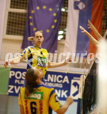 Volleyball Challenge Cup. SK Posojilnica Aich/Dob gegen Generali Haching. Robin Pelucha (Aich/Dob). Prevalje, am 27.10.2007.
Foto: Kuess
---
pressefotos, pressefotografie, kuess, qs, qspictures, sport, bild, bilder, bilddatenbank