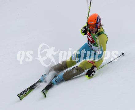 Schi Alpin Weltcup Slalom. Bernard Vajdic (SLO). Bad Kleinkirchheim, am 9.12.2007.
Foto: Kuess
---
pressefotos, pressefotografie, kuess, qs, qspictures, sport, bild, bilder, bilddatenbank