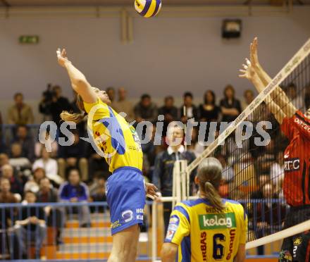 Volleyball. Challenge Cup. SK Aich/Dob gegen VC Rotterdam Nesselande.
Robin Pelucha (Aich/Dob). Prevalje, 23.1.2008
Foto: Kuess
---
pressefotos, pressefotografie, kuess, qs, qspictures, sport, bild, bilder, bilddatenbank