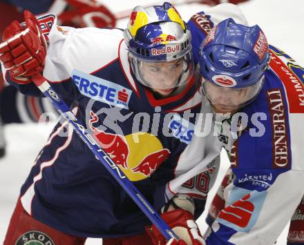 EBEL. Eishockey Bundesliga. VSV gegen Red Bull Salzburg. Daniel Gauthier (VSV), Marco Pewal (Salzburg). Villach, am 1.2.2008.
Foto: Kuess
---
pressefotos, pressefotografie, kuess, qs, qspictures, sport, bild, bilder, bilddatenbank