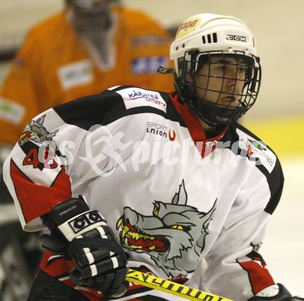 Eishockey Oberliga. Tarco Woelfe gegen Die 48er Wien. Manfred Schoklitsch (Tarco). Klagenfurt, am 2.2.2008.
Foto: Kuess
---
pressefotos, pressefotografie, kuess, qs, qspictures, sport, bild, bilder, bilddatenbank