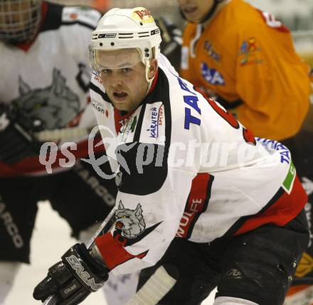 Eishockey Oberliga. Tarco Woelfe gegen Die 48er Wien. Peter Mateicka (Tarco). Klagenfurt, am 2.2.2008.
Foto: Kuess
---
pressefotos, pressefotografie, kuess, qs, qspictures, sport, bild, bilder, bilddatenbank