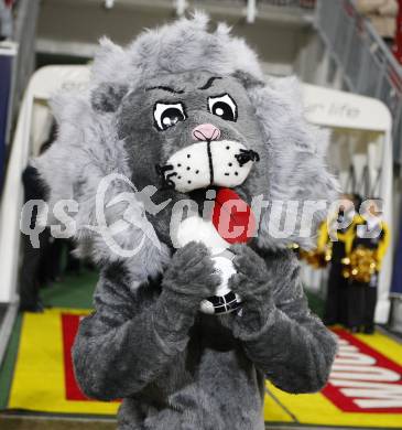 Fussball. T-Mobile Bundesliga. SK Austria Kaernten gegen SK Rapid Wien. Maskottchen.  Klagenfurt, am 16.2.2008.
Foto: Kuess
---
pressefotos, pressefotografie, kuess, qs, qspictures, sport, bild, bilder, bilddatenbank