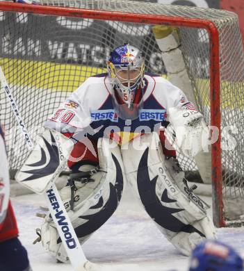 EBEL. Eishockey Bundesliga. VSV gegen Red Bull Salzburg. Reinhard Divis (Salzburg). Villach, am 17.2.2008.
Foto: Kuess
---
pressefotos, pressefotografie, kuess, qs, qspictures, sport, bild, bilder, bilddatenbank