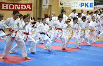 Karate. Oesterreichische Meisterschaften. Karatedemonstration des Wolfsberger Karatenachwuchses. Wolfsberg, am 12.4.2008
Copyright Kuess

---
pressefotos, pressefotografie, kuess, qs, qspictures, sport, bild, bilder, bilddatenbank