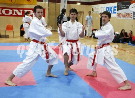 Karate. Oesterreichische Meisterschaften. Marco Kassmannhuber, Mike Schaunig, Martin Kremser. Wolfsberg, am 12.4.2008
Copyright Kuess

---
pressefotos, pressefotografie, kuess, qs, qspictures, sport, bild, bilder, bilddatenbank