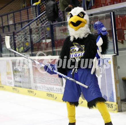 EBEL. Eishockey Bundesliga. EC VSV gegen Red Bull Salzburg. VSV Maskottchen Villi. Villach, am 30.10.2008.
Foto: Kuess

---
pressefotos, pressefotografie, kuess, qs, qspictures, sport, bild, bilder, bilddatenbank