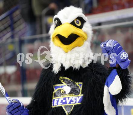 EBEL. Eishockey Bundesliga. EC VSV gegen Red Bull Salzburg. Jubel VSV Maskottchen Villi.. Villach, am 30.10.2008.
Foto: Kuess

---
pressefotos, pressefotografie, kuess, qs, qspictures, sport, bild, bilder, bilddatenbank