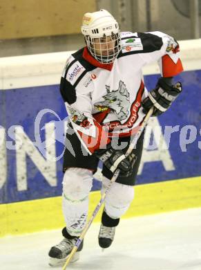 Eishockey Oberliga. Tarco Woelfe gegen ATSE Graz. Herbert Diamant (Tarco).
Klagenfurt, 8.11.2008
Foto: Nadja Kuess


---
pressefotos, pressefotografie, kuess, qs, qspictures, sport, bild, bilder, bilddatenbank