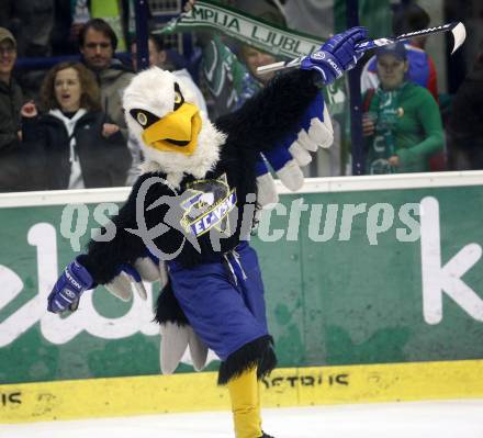 EBEL. Eishockey Bundesliga. EC Pasut VSV gegen HDD TILIA Olimpija Ljubljana (Laibach). VSV Maskottchen Villi. Villach, am 11.11.2008.
Foto: Kuess 

---
pressefotos, pressefotografie, kuess, qs, qspictures, sport, bild, bilder, bilddatenbank