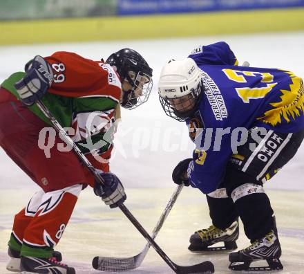 Dameneishockey. DEBL. DEC Dragons Klagenfurt gegen Gipsy Girls Villach. Ban Sonja (Dragons), Krall Manuela (Gipsy Girls). Klagenfurt, 11.11.2008.
Foto: Kuess
---
pressefotos, pressefotografie, kuess, qs, qspictures, sport, bild, bilder, bilddatenbank