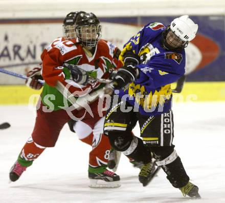 Dameneishockey. DEBL. DEC Dragons Klagenfurt gegen Gipsy Girls Villach. Sonja Ban (Dragons), Manuela Krall (Gipsy Girls). Klagenfurt, 11.11.2008.
Foto: Kuess
---
pressefotos, pressefotografie, kuess, qs, qspictures, sport, bild, bilder, bilddatenbank