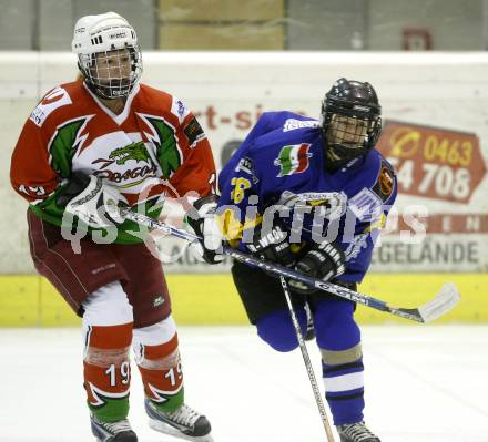 Dameneishockey. DEBL. DEC Dragons Klagenfurt gegen Gipsy Girls Villach. Sabine Kreutzl (Dragons), Christa Kramser (Gipsy Girls). Klagenfurt, 11.11.2008.
Foto: Kuess
---
pressefotos, pressefotografie, kuess, qs, qspictures, sport, bild, bilder, bilddatenbank