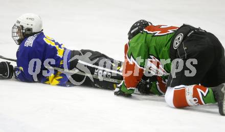 Dameneishockey. DEBL. DEC Dragons Klagenfurt gegen Gipsy Girls Villach. Therese Gottinger (Dragons), Manuela Krall (Gipsy Girls). Klagenfurt, 11.11.2008.
Foto: Kuess
---
pressefotos, pressefotografie, kuess, qs, qspictures, sport, bild, bilder, bilddatenbank