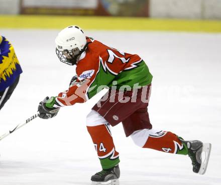 Dameneishockey. DEBL. DEC Dragons Klagenfurt gegen Gipsy Girls Villach. Lisa Waldner (Dragons). Klagenfurt, 11.11.2008.
Foto: Kuess
---
pressefotos, pressefotografie, kuess, qs, qspictures, sport, bild, bilder, bilddatenbank