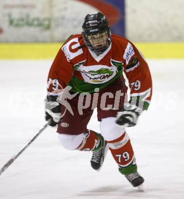 Dameneishockey. DEBL. DEC Dragons Klagenfurt gegen Gipsy Girls Villach. Carina Arneitz (Dragons). Klagenfurt, 11.11.2008.
Foto: Kuess
---
pressefotos, pressefotografie, kuess, qs, qspictures, sport, bild, bilder, bilddatenbank