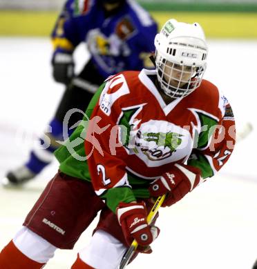 Dameneishockey. DEBL. DEC Dragons Klagenfurt gegen Gipsy Girls Villach. Zabukovec Anna (Dragons). Klagenfurt, 11.11.2008.
Foto: Kuess
---
pressefotos, pressefotografie, kuess, qs, qspictures, sport, bild, bilder, bilddatenbank