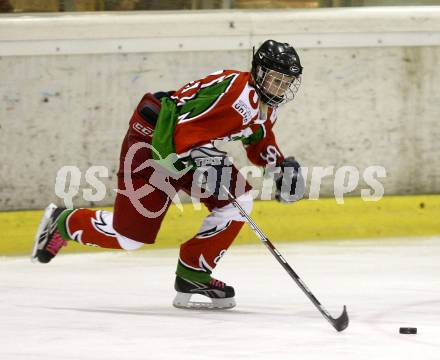 Dameneishockey. DEBL. DEC Dragons Klagenfurt gegen Gipsy Girls Villach. Sonja Ban (Dragons). Klagenfurt, 11.11.2008.
Foto: Kuess
---
pressefotos, pressefotografie, kuess, qs, qspictures, sport, bild, bilder, bilddatenbank