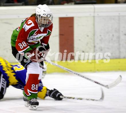 Dameneishockey. DEBL. DEC Dragons Klagenfurt gegen Gipsy Girls Villach. Caroline Oberleitner (Dragons). Klagenfurt, 11.11.2008.
Foto: Kuess
---
pressefotos, pressefotografie, kuess, qs, qspictures, sport, bild, bilder, bilddatenbank