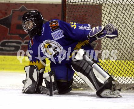 Dameneishockey. DEBL. DEC Dragons Klagenfurt gegen Gipsy Girls Villach. Anja Jersin (Gipsy Girls). Klagenfurt, 11.11.2008.
Foto: Kuess
---
pressefotos, pressefotografie, kuess, qs, qspictures, sport, bild, bilder, bilddatenbank