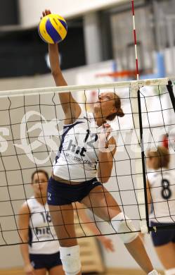 Volleyball MEVZA. ATSC Wildcats gegen OK HIT Nova Gorica.  Krstic (Nova Gorica). Klagenfurt, 15.11.2008. 
Copyright Kuess

---
pressefotos, pressefotografie, kuess, qs, qspictures, sport, bild, bilder, bilddatenbank