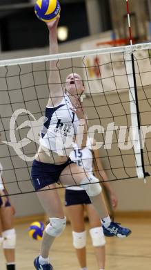 Volleyball MEVZA. ATSC Wildcats gegen OK HIT Nova Gorica.  Mori (Nova Gorica). Klagenfurt, 15.11.2008. 
Copyright Kuess

---
pressefotos, pressefotografie, kuess, qs, qspictures, sport, bild, bilder, bilddatenbank