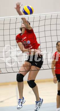 Volleyball MEVZA. ATSC Wildcats gegen OK HIT Nova Gorica. Sandra Zangerl (Wildcats). Klagenfurt, 15.11.2008. 
Copyright Kuess

---
pressefotos, pressefotografie, kuess, qs, qspictures, sport, bild, bilder, bilddatenbank