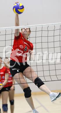 Volleyball MEVZA. ATSC Wildcats gegen OK HIT Nova Gorica.  Christine Stuermer (Wildcats). Klagenfurt, 15.11.2008. 
Copyright Kuess

---
pressefotos, pressefotografie, kuess, qs, qspictures, sport, bild, bilder, bilddatenbank