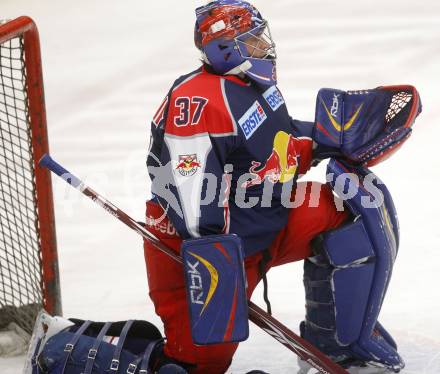 EBEL. Eishockey Bundesliga. EC Pasut VSV gegen EC Red Bull Salzburg. Jordan Parise (Salzburg). Villach, am 14.12.2008.
Foto: Kuess 

---
pressefotos, pressefotografie, kuess, qs, qspictures, sport, bild, bilder, bilddatenbank