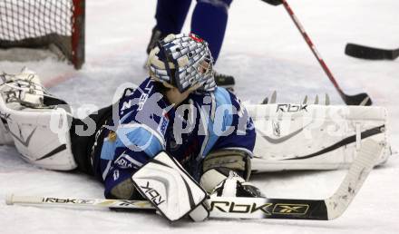 EBEL. Eishockey Bundesliga. EC Pasut VSV gegen Alba Volan Szekesfehervar. Zoltan Hetenyi (Szekesfehervar). Villach, am 21.12.2008.
Foto: Kuess 


---
pressefotos, pressefotografie, kuess, qs, qspictures, sport, bild, bilder, bilddatenbank