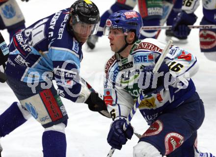 EBEL. Eishockey Bundesliga. VSV gegen Alba Volan. Dan Cavanaugh (VSV), Gabor Ocskay (Alba Volan). Villach, am 2.1.2009.
Foto: Kuess 

---
pressefotos, pressefotografie, kuess, qs, qspictures, sport, bild, bilder, bilddatenbank