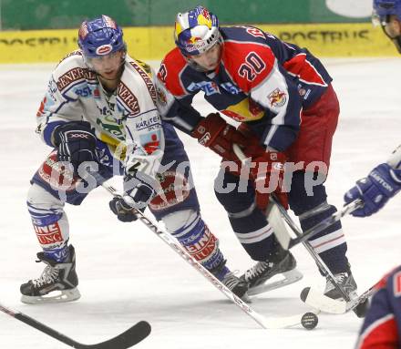 EBEL. Eishockey Bundesliga. EC Pasut VSV gegen EC Red Bull Salzburg. Wolfgang Kromp, (VSV), Daniel Welser  (Salzburg). Villach, am 11.1.2009.
Foto: Kuess 


---
pressefotos, pressefotografie, kuess, qs, qspictures, sport, bild, bilder, bilddatenbank