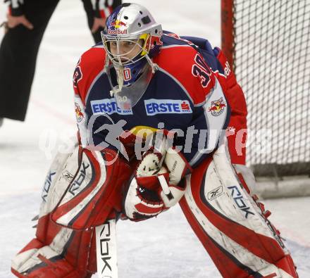 EBEL. Eishockey Bundesliga. EC Pasut VSV gegen EC Red Bull Salzburg. Thomas Hoeneckl (Salzburg). Villach, am 11.1.2009.
Foto: Kuess 


---
pressefotos, pressefotografie, kuess, qs, qspictures, sport, bild, bilder, bilddatenbank