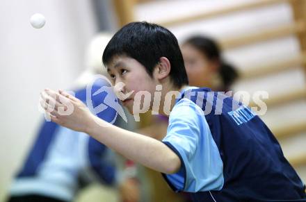 Tischtennis. TTC Villach. Liu Wan Dong. Villach, 14.2.2009.
Foto: Kuess
---
pressefotos, pressefotografie, kuess, qs, qspictures, sport, bild, bilder, bilddatenbank