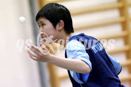 Tischtennis. TTC Villach. Liu Wan Dong. Villach, 14.2.2009.
Foto: Kuess
---
pressefotos, pressefotografie, kuess, qs, qspictures, sport, bild, bilder, bilddatenbank