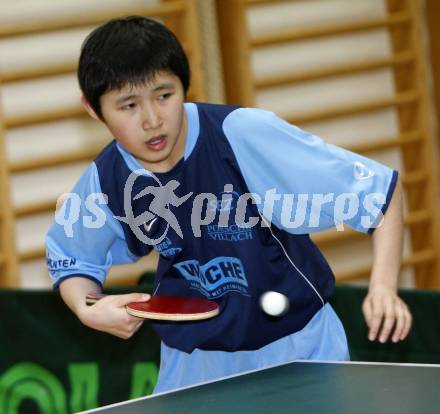 Tischtennis. TTC Villach. Liu Wan Dong. Villach, 14.2.2009.
Foto: Kuess
---
pressefotos, pressefotografie, kuess, qs, qspictures, sport, bild, bilder, bilddatenbank