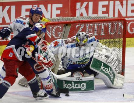 EBEL. Eishockey Bundesliga. VSV gegen EC Red Bull Salzburg. Mike Stewart, Gerhard Prohaska, (VSV), Thomas Koch (Salzburg). Villach, am 29.9.2009.
Foto: Kuess 


---
pressefotos, pressefotografie, kuess, qs, qspictures, sport, bild, bilder, bilddatenbank