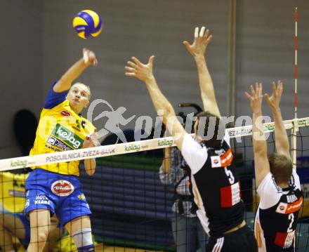 Volleyball. MEVZA. SK Aich/Dob gegen Hotvolleys Wien. Aleksey Sanko (Aich). Prevalje, 7.11.2009.
Foto:Kuess

---
pressefotos, pressefotografie, kuess, qs, qspictures, sport, bild, bilder, bilddatenbank