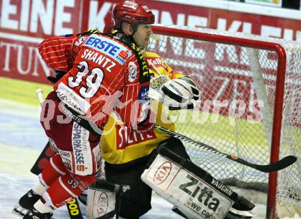 EBEL. Eishockey Bundesliga. KAC gegen Vienna Capitals. Jeff Shantz (KAC). Klagenfurt, am 13.11.2009.
Foto: Kuess
---
pressefotos, pressefotografie, kuess, qs, qspictures, sport, bild, bilder, bilddatenbank