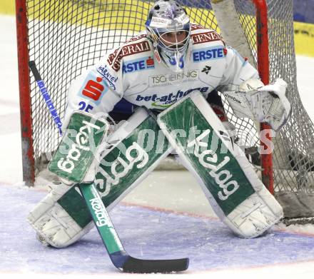 EBEL. Eishockey Bundesliga. EC Pasut VSV gegen Graz 99ers. Gert Prohaska (VSV). Villach, am 17.11.2009.
Foto: Kuess 


---
pressefotos, pressefotografie, kuess, qs, qspictures, sport, bild, bilder, bilddatenbank