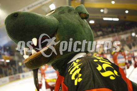 EBEL. Eishockey Bundesliga. EC KAC gegen KHLMedvescak Zagreb. Maskottchen Lindi (KAC). Klagenfurt, am 11.12.2009.
Foto: Kuess
---
pressefotos, pressefotografie, kuess, qs, qspictures, sport, bild, bilder, bilddatenbank