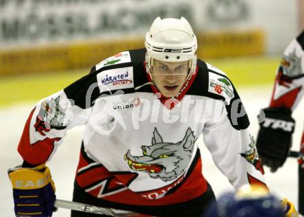 Eishockey CHL. EC Tarco Woelfe Klagenfurt gegen UEC Leisach. Daniel Reiter (Tarco). Klagenfurt, am 23.1.2010.
Foto: Kuess

---
pressefotos, pressefotografie, kuess, qs, qspictures, sport, bild, bilder, bilddatenbank