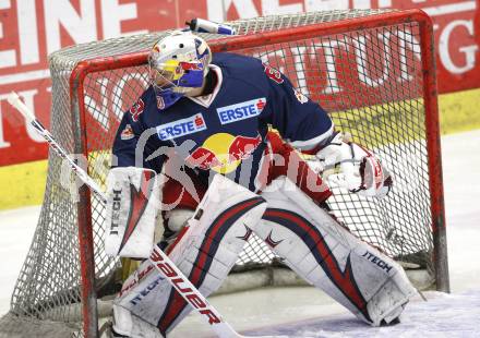 EBEL. Eishockey Bundesliga. EC Pasut VSV gegen Red Bulls Salzburg.  David Leneveu (Salzburg). Villach, am 31.1.2010.
Foto: Kuess 


---
pressefotos, pressefotografie, kuess, qs, qspictures, sport, bild, bilder, bilddatenbank