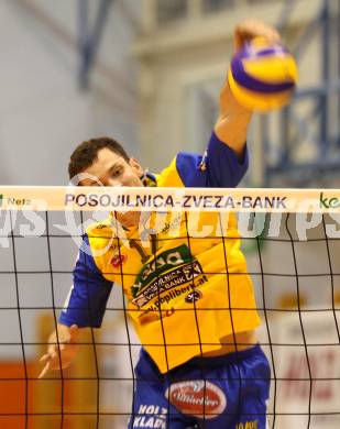 Volleyball GM Capital Challenge Cup. SK Aich/Dob (AUT) gegen VC Euphony Asse-Lennik (BEL).  BENCZ Milan (Aich/Dob). Prevalje, 11.2.2010. 
Foto: Kuess

---
pressefotos, pressefotografie, kuess, qs, qspictures, sport, bild, bilder, bilddatenbank