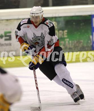 Eishockey Carinthian Hockey League CHL.  EC Tarco Woelfe Klagenfurt gegen EC Feld am See. Daniel Reiter (Tarco). Klagenfurt, am 25.2.2010.
Foto: Kuess

---
pressefotos, pressefotografie, kuess, qs, qspictures, sport, bild, bilder, bilddatenbank